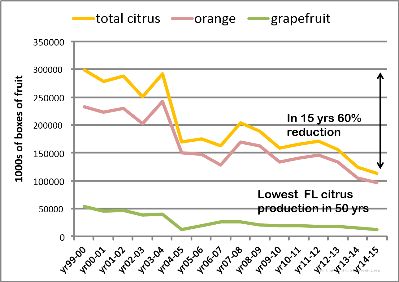 Citrus production 1999-2015